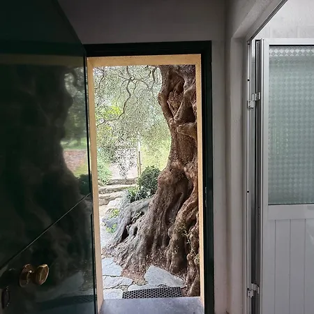 Agroturismo Argentea