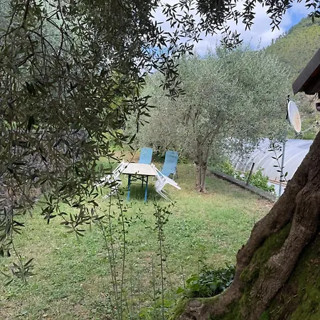 בית חווה Argentea *