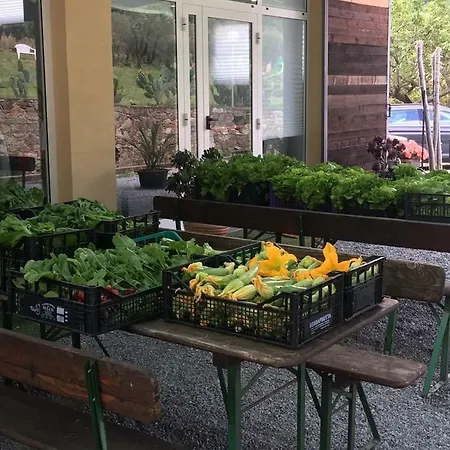 Gospodarstwo agroturystyczne Argentea Arenzano