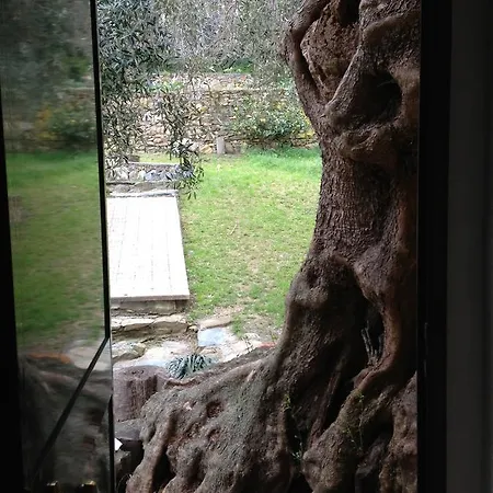 Gospodarstwo agroturystyczne Argentea