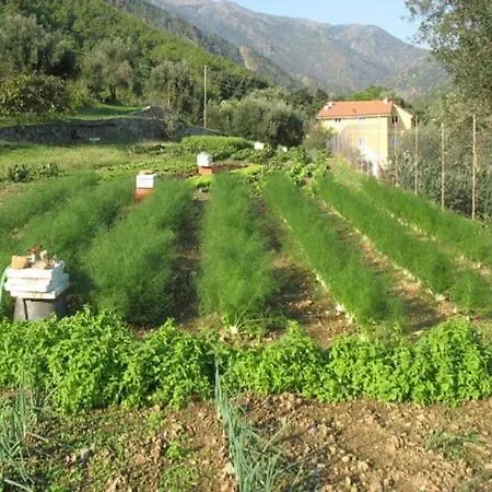Agriturismo Argentea Vakantieboerderij