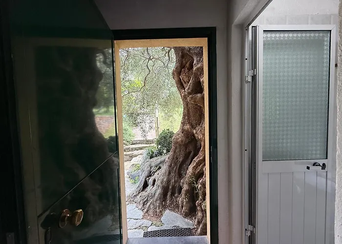 Séjour à la ferme Argentea