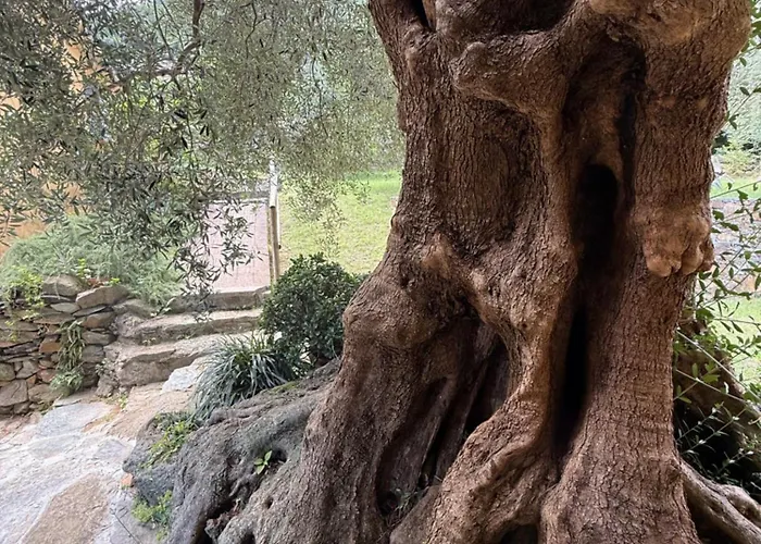 Séjour à la ferme Argentea Arenzano