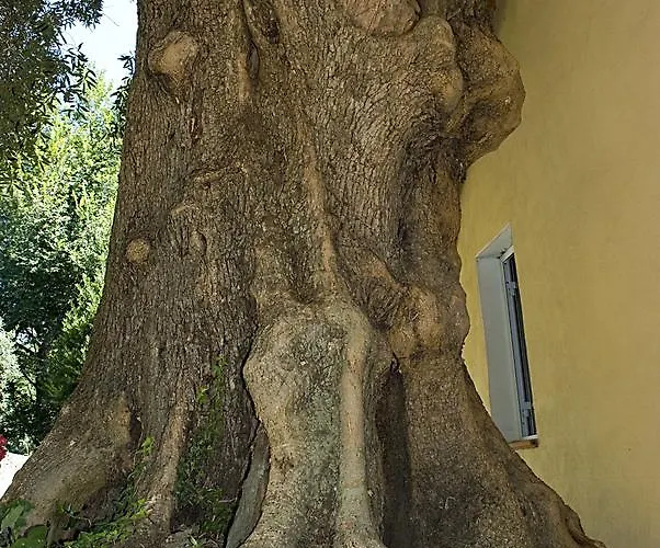 Séjour à la ferme Argentea