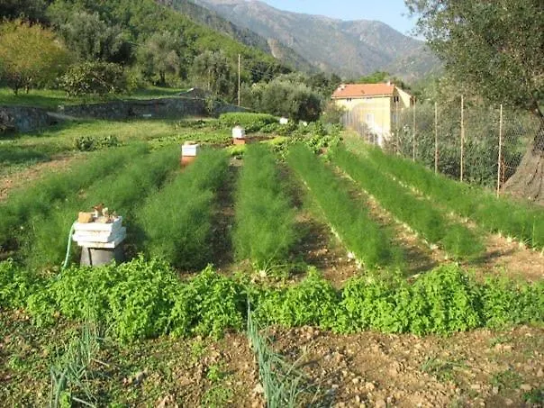Argentea Séjour à la ferme