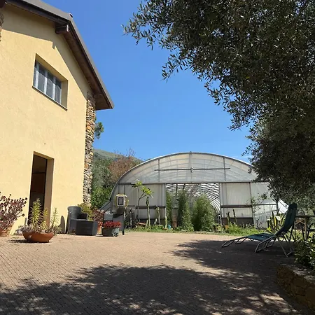 Feriegård Argentea