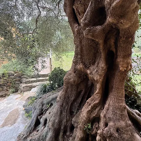 Κατάλυμα σε φάρμα Argentea Arenzano